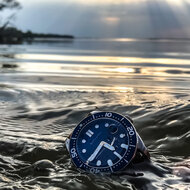 Spinnaker Croft SP-5058-08 Azure Horlogewatch