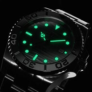 Paul Rich Crystal Bay Arctic Shore Luminous Horlogewatch