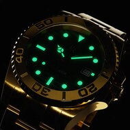 Paul Rich Crystal Bay Gold Coast Luminous Horlogewatch