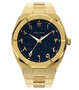 Paul Rich Frosted Star Dust Desert Gold 45 mm Horlogewatch