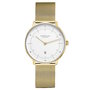 Sternglas Naos XS Gold S01-ND02-MI07 Horlogewatch