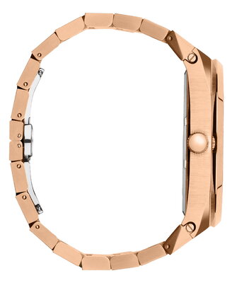 Paul Rich Ambassador's Rose Steel (LEES GOED DE OMSCHRIJVING)