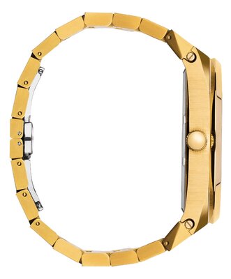 Paul Rich Royal Touch 45 mm